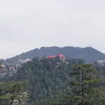 Goroomgo Marc Shimla Near Mall Road - Luxury Room - Excellent Service - Ample Parking - Best Hotel In Shimla