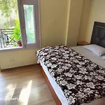 Shimla Vibes B & B Free Pick And Drop From Isbt Shimla