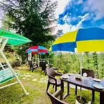 The Jungle View From Balcony In Resort Mashobra - A Relax Retreat Away From City