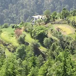 Shimla Nature Ville