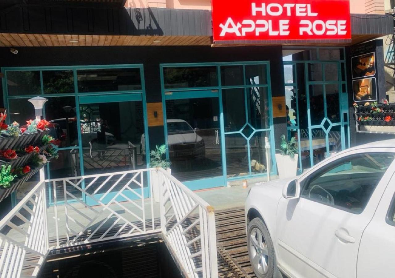 Apple Rose 2*
