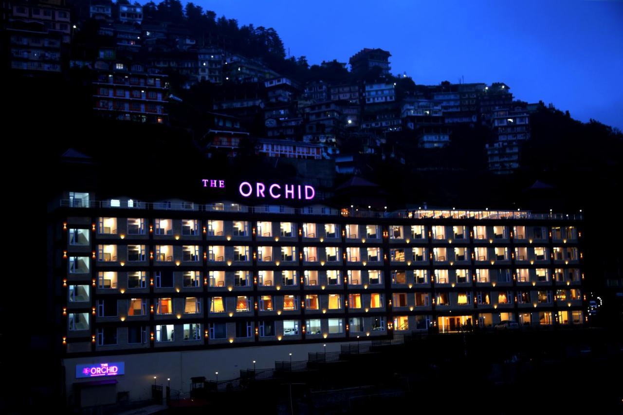 The Orchid