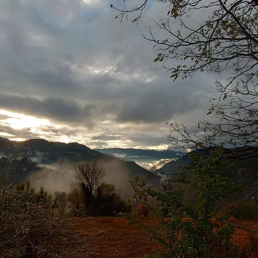 Homestay Thakur Homes Shimla