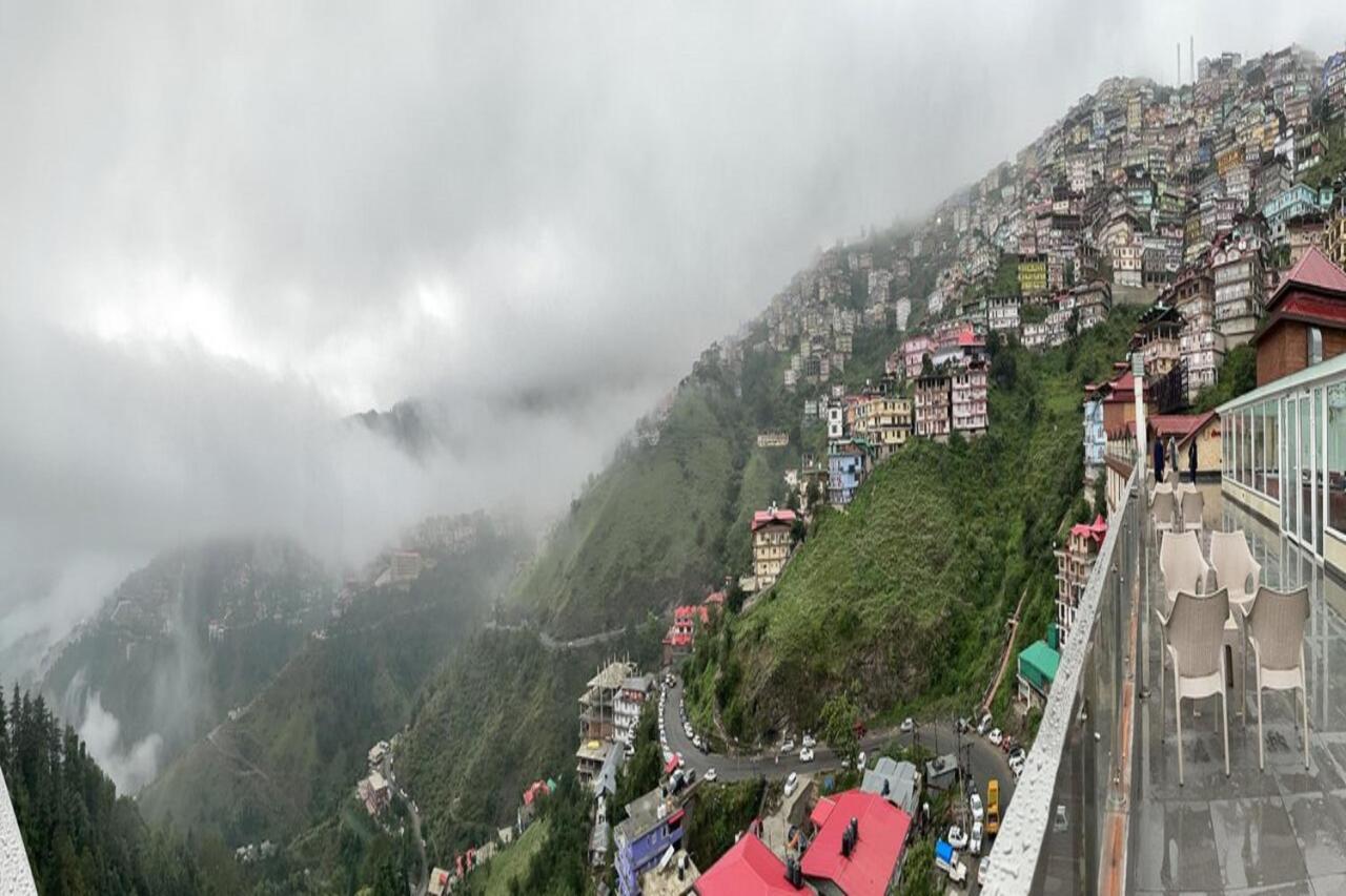 The Orchid Shimla