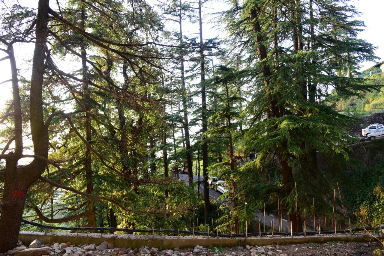 Royale Retreat - Luxury In 4*