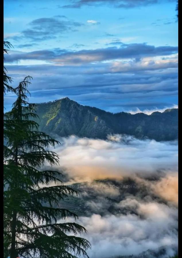 Hotel Crown Shimla