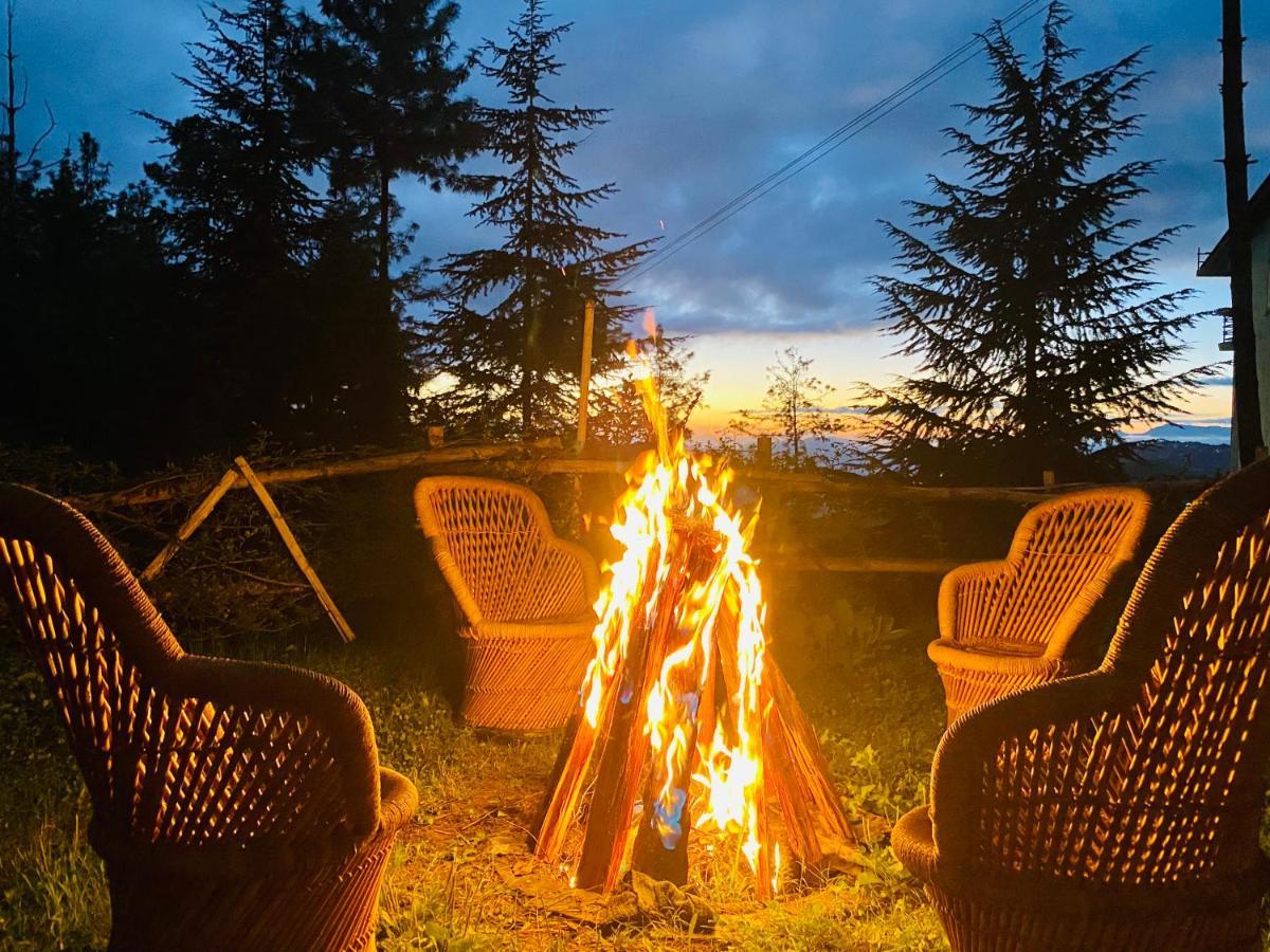Hotel Aachman Nature Valley 4*