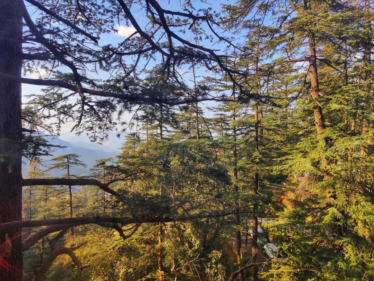 Royale Retreat - Luxury In Shimla