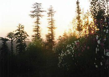 Royal Jardin Whistling Pines Resort 3*