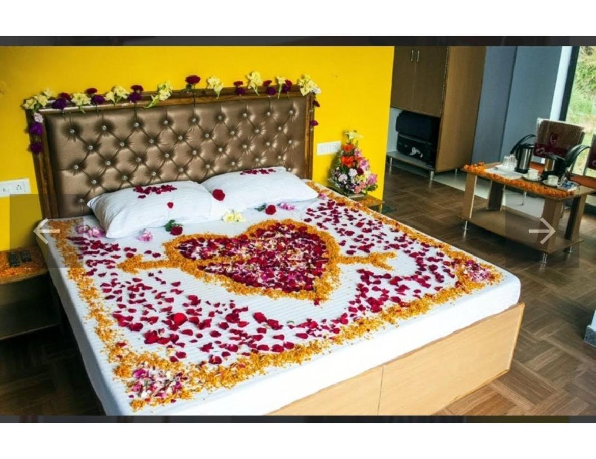 Divine Hills Shimla 3*