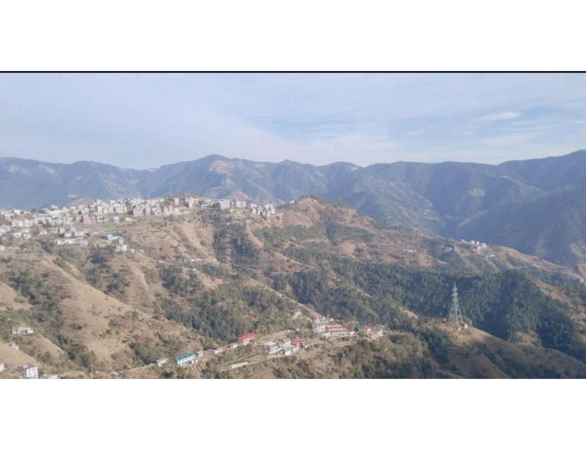 East View Homestay, Homestay