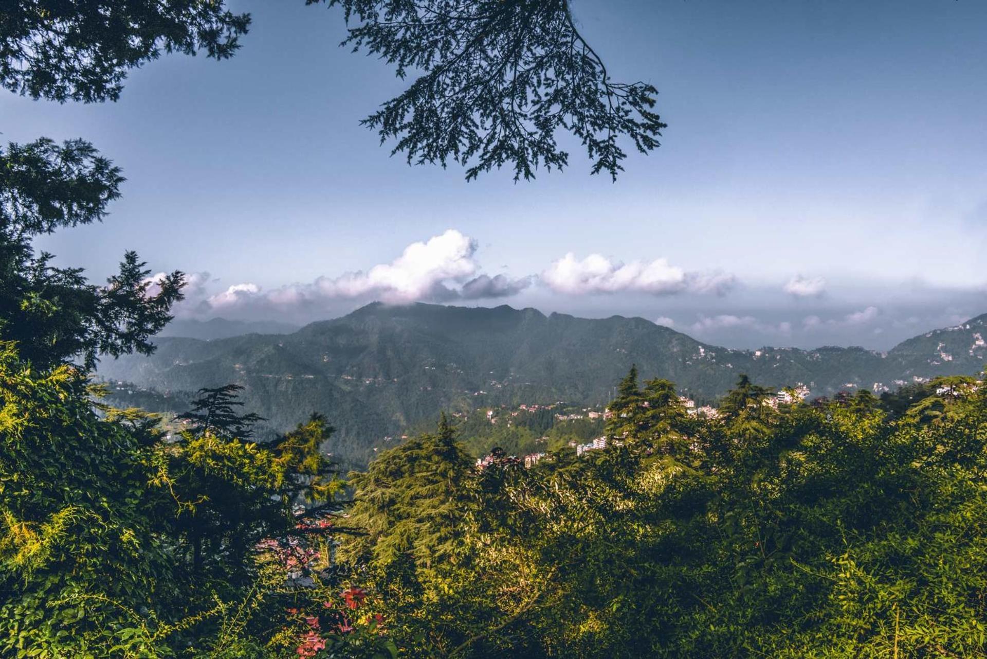 Stayvista At Rose - Bonfire & Scenic View *
