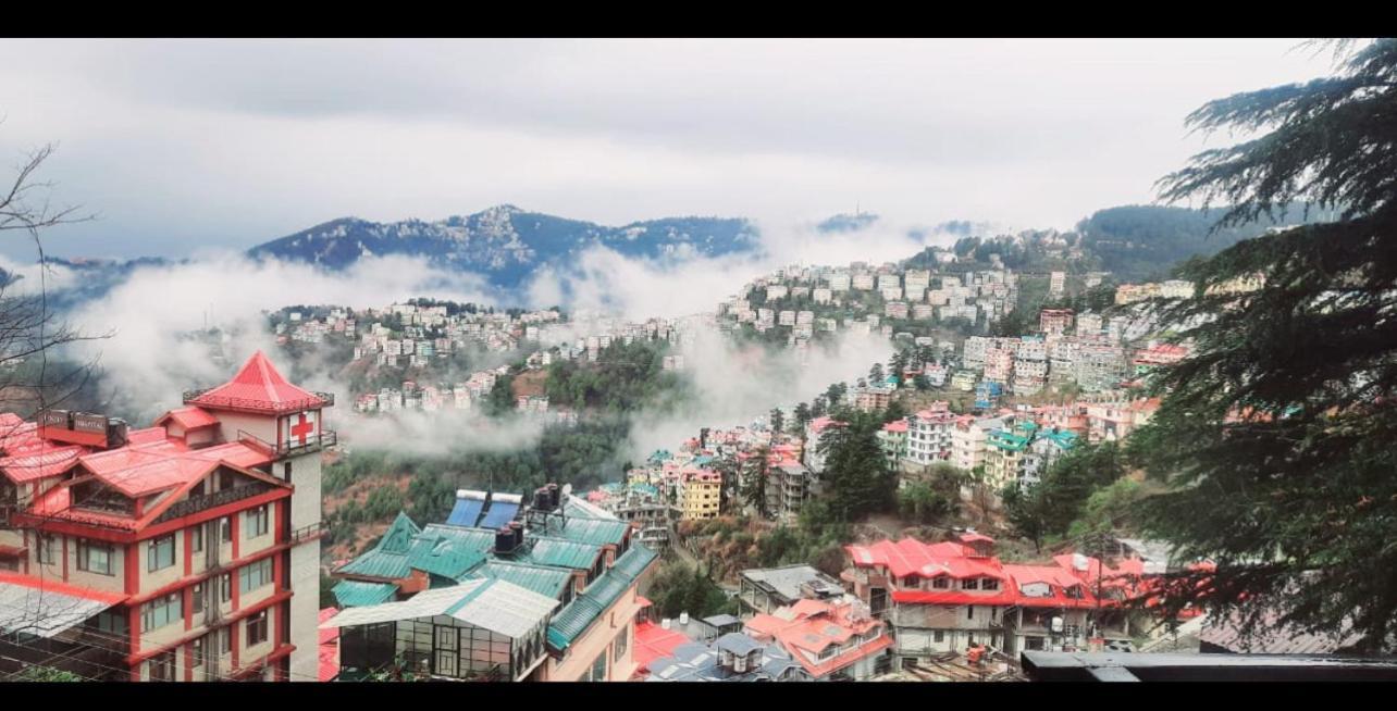 Bed & Breakfast The Ivory Pine Shimla