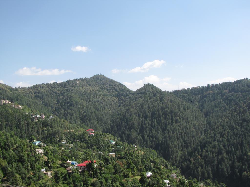 Hotel Shimla Nature Ville 3*