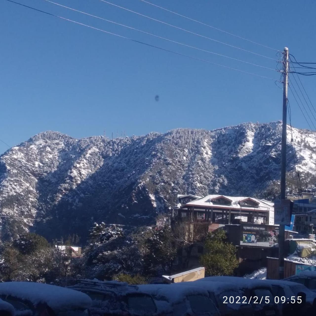 Homestay Thakur Shoghi *