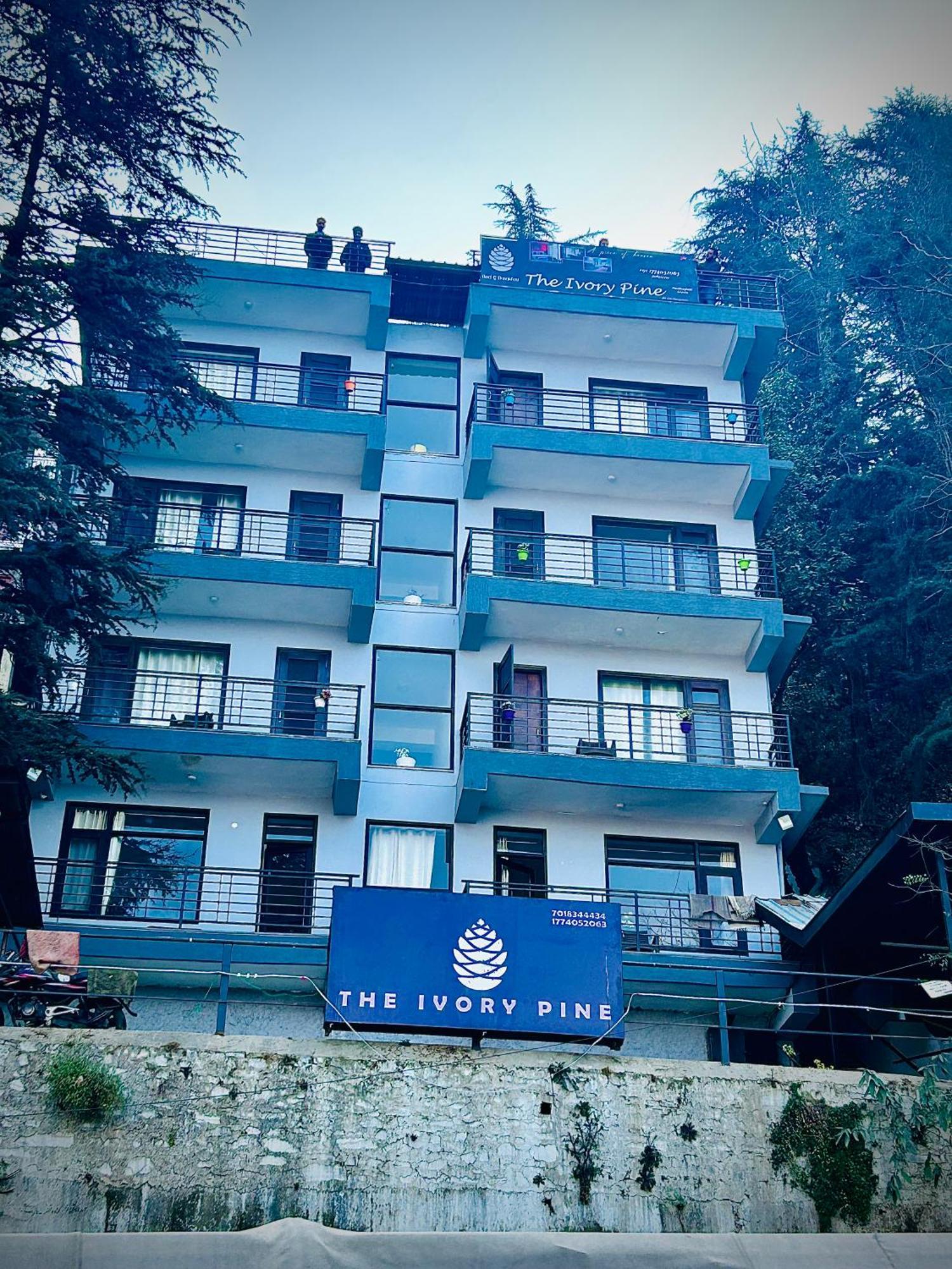 Bed & Breakfast The Ivory Pine Shimla
