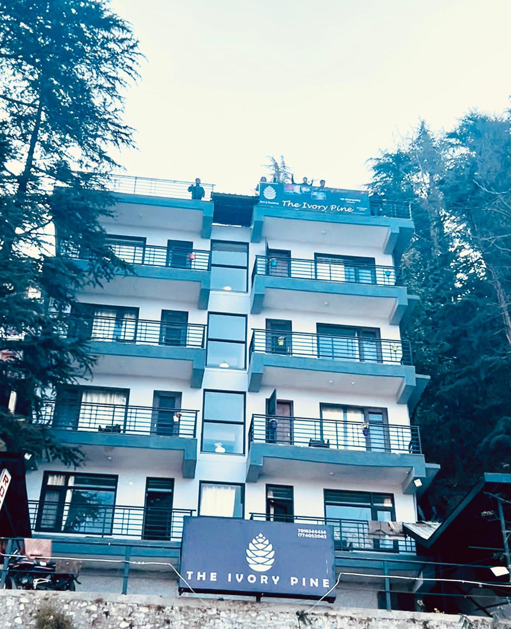 Bed & Breakfast The Ivory Pine Shimla