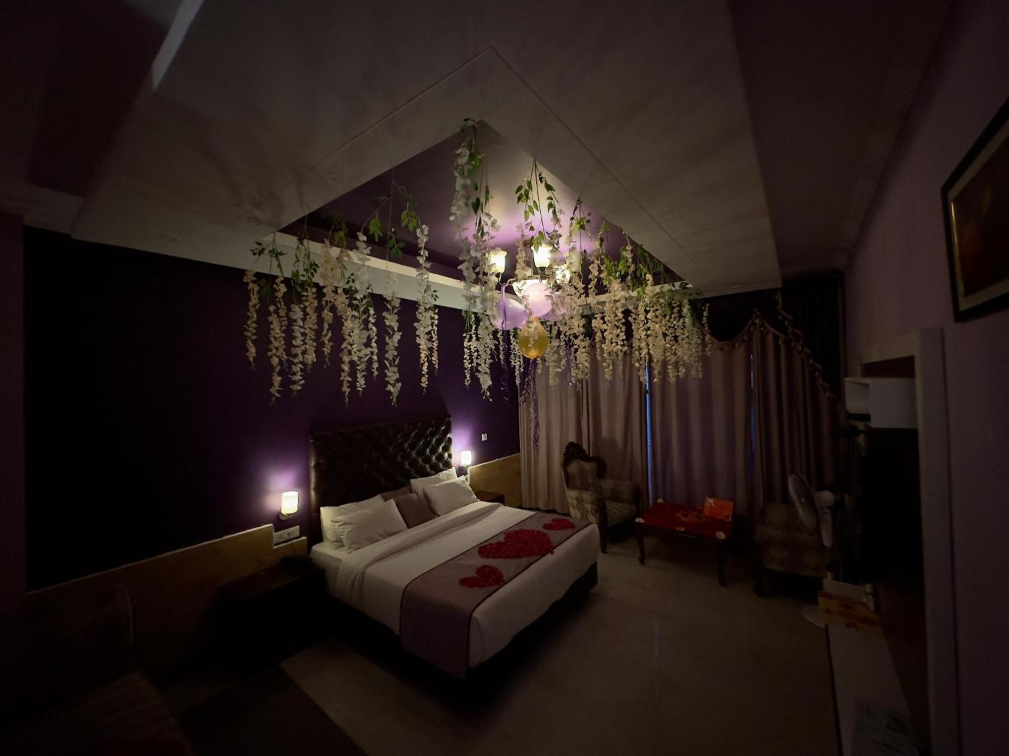 Nest * Shimla