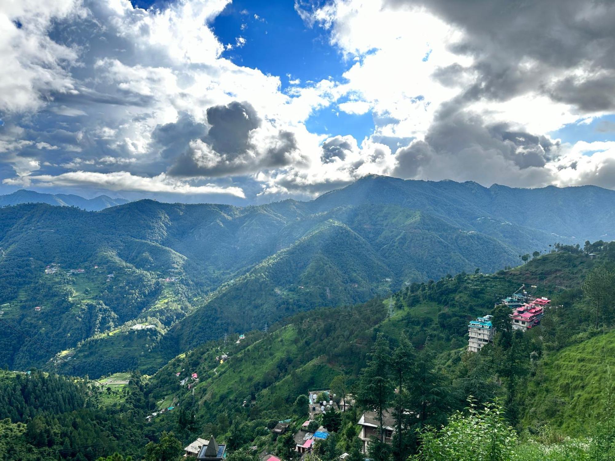 Nest * Shimla