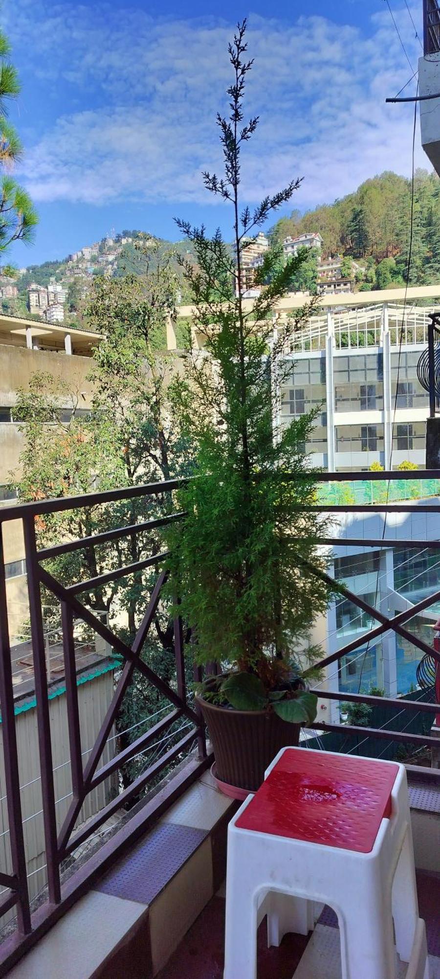 Vibes Free Pick And Drop From Isbt * Shimla