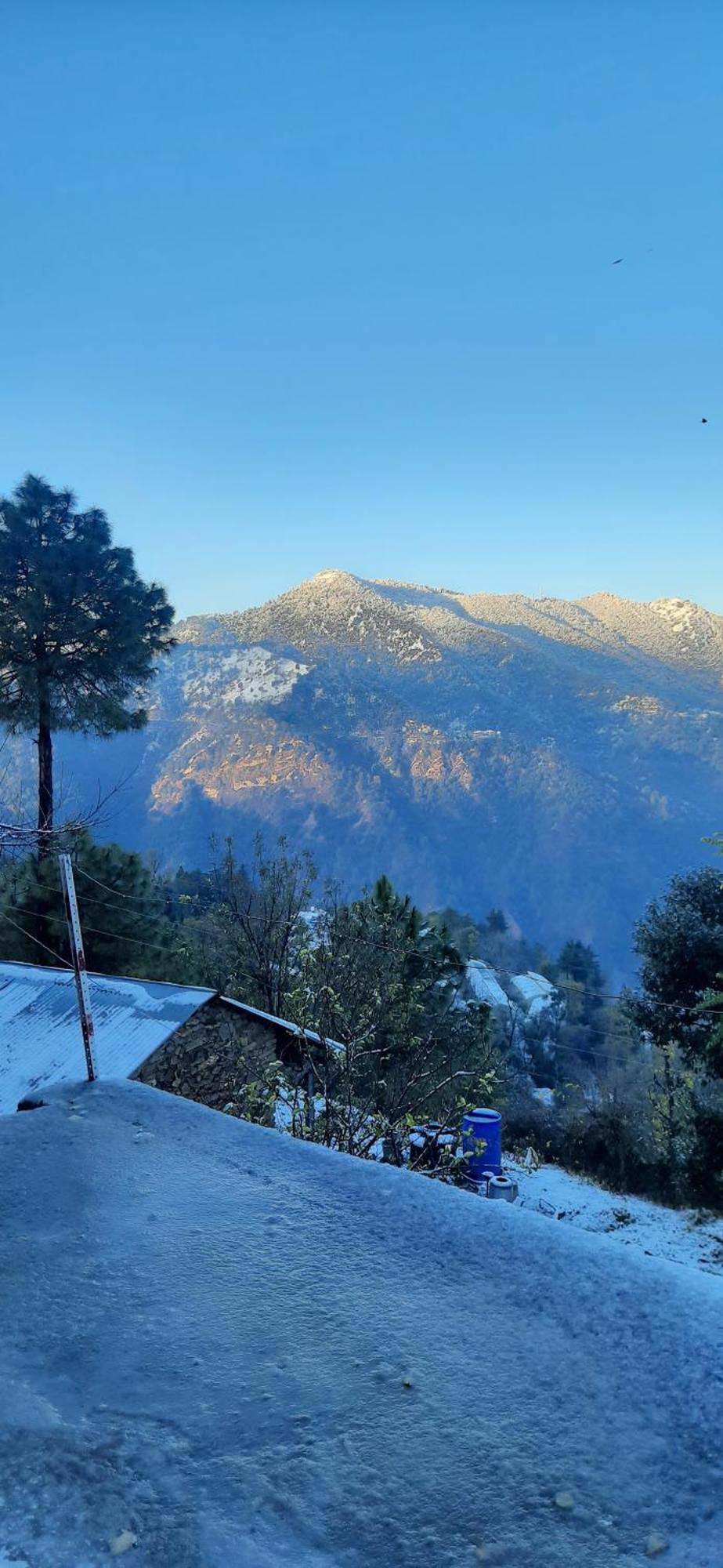 Sejal * Shimla
