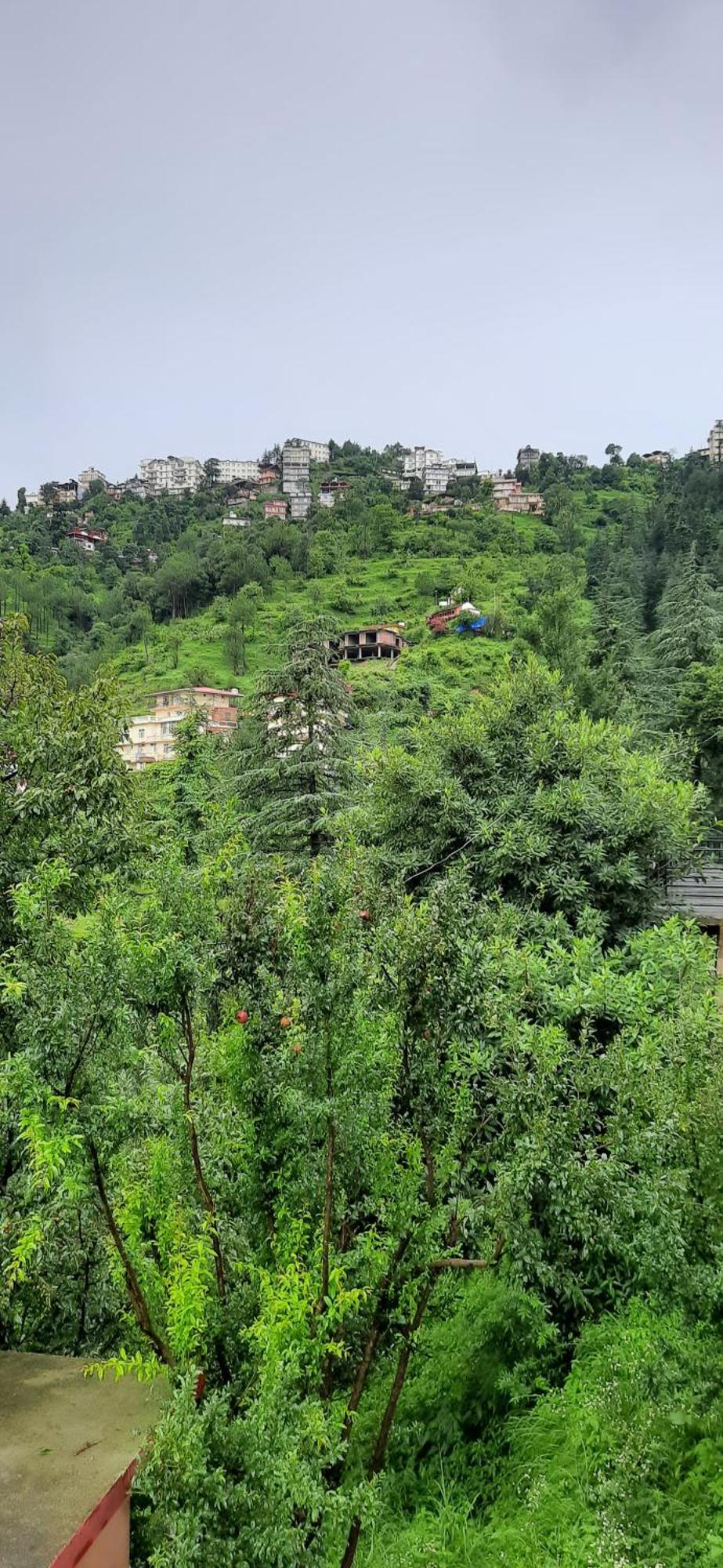 Homestay Sejal