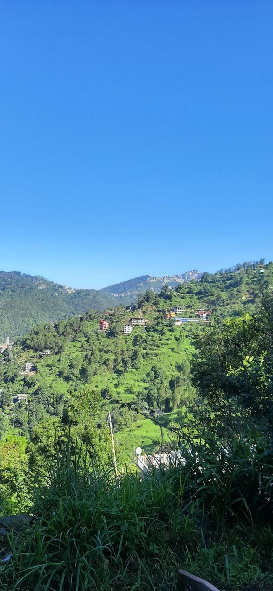 Sejal