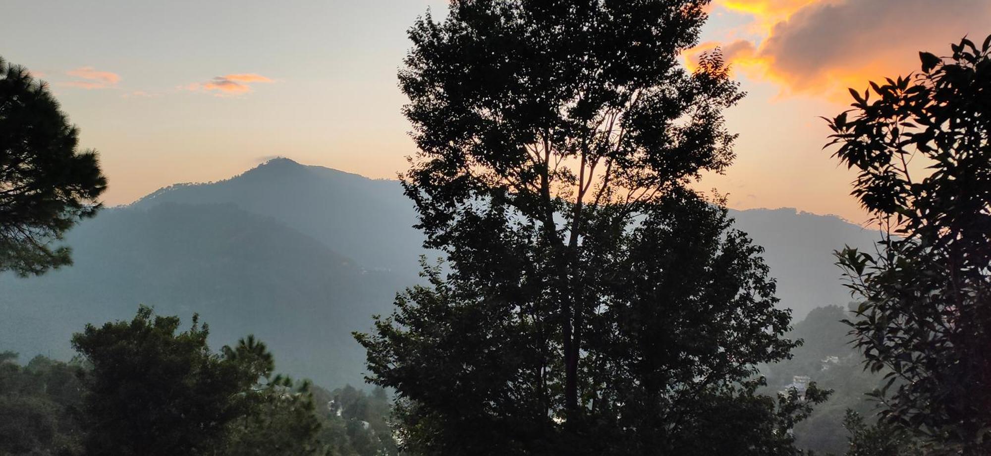 Sejal Homestay Shimla