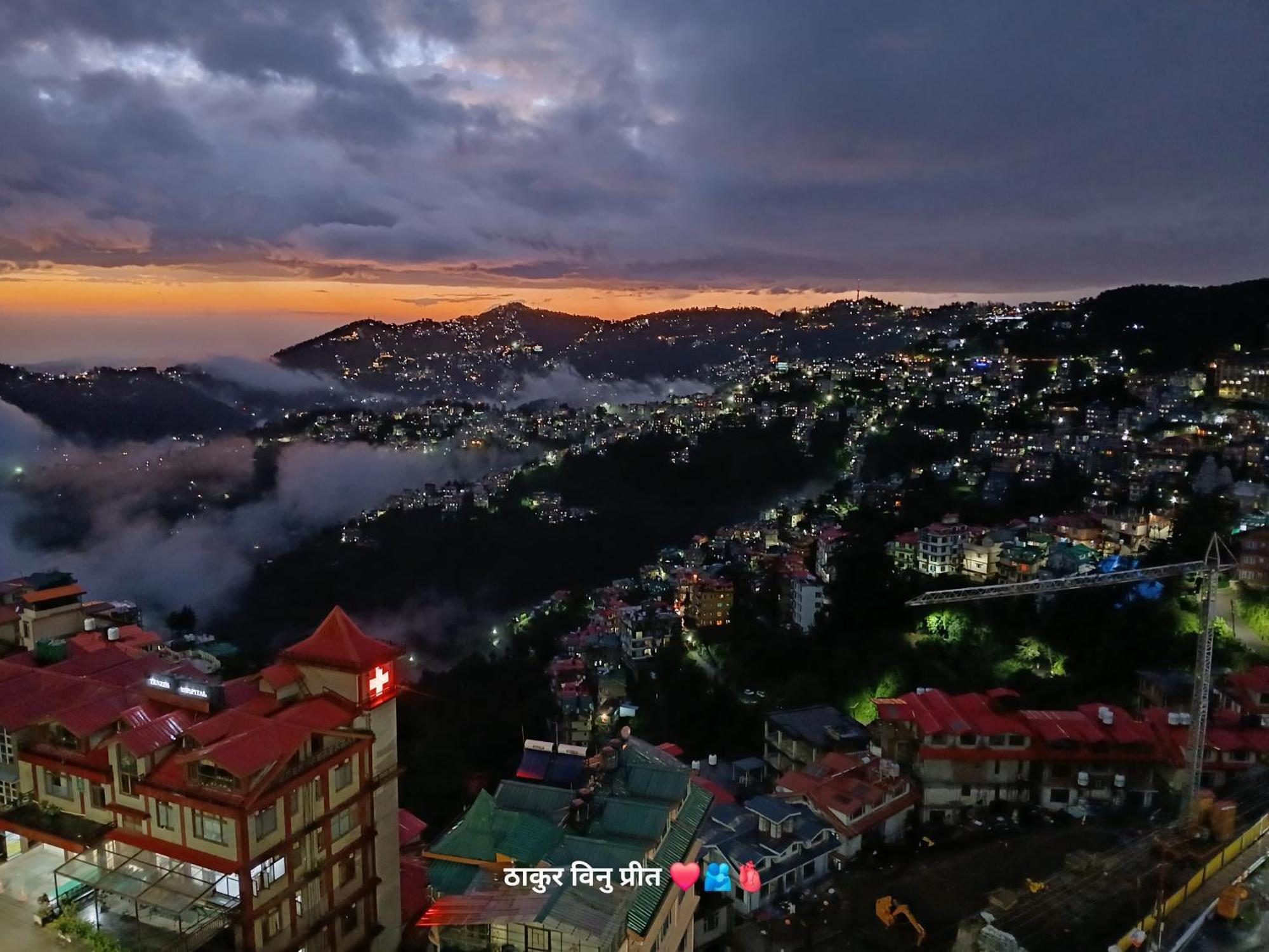 The Ivory Pine * Shimla