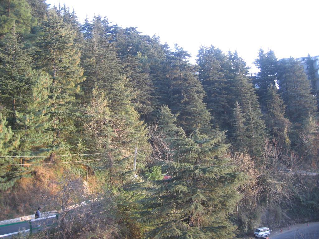 Bed & Breakfast View 2*