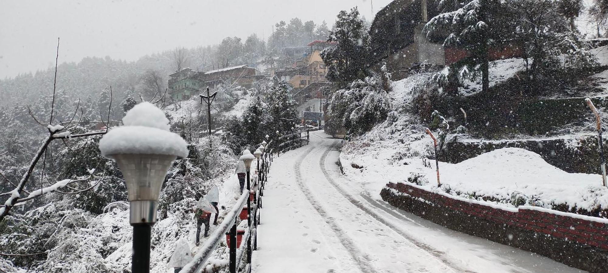 Regenta Mars Valley View Shoghi Shimla