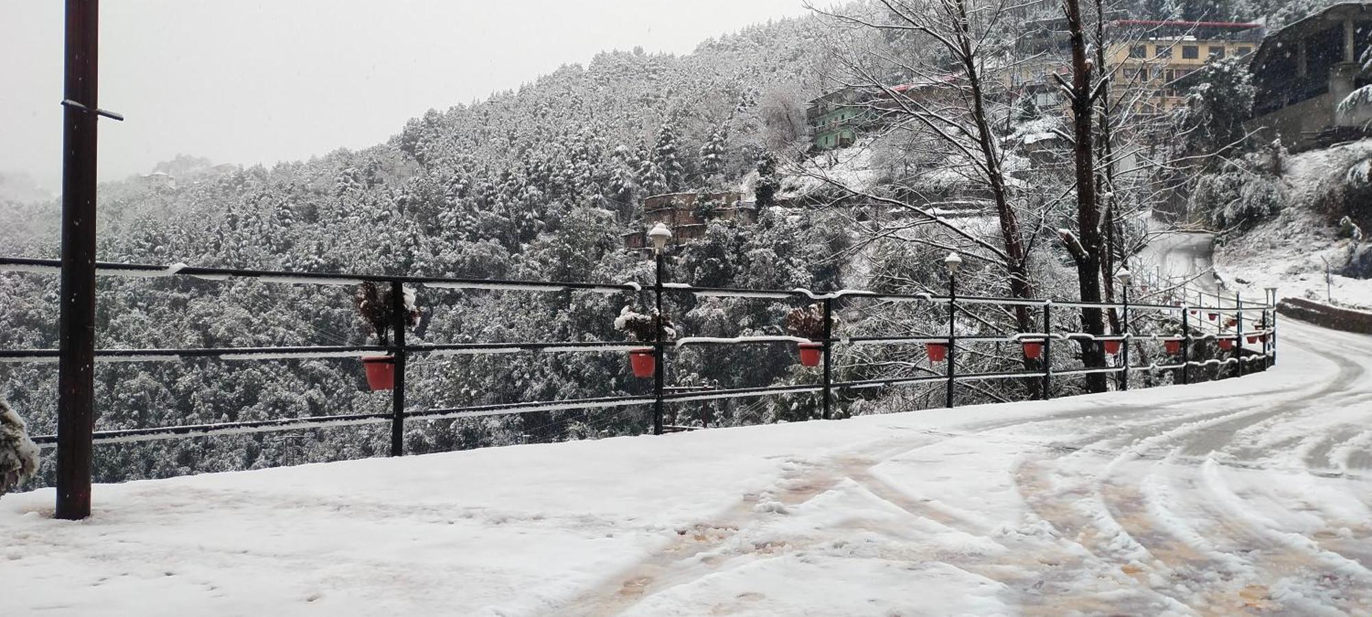 Regenta Mars Valley View Shoghi 3* Shimla
