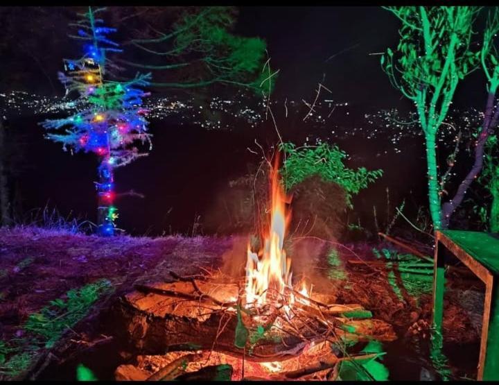 Aagaman Woods