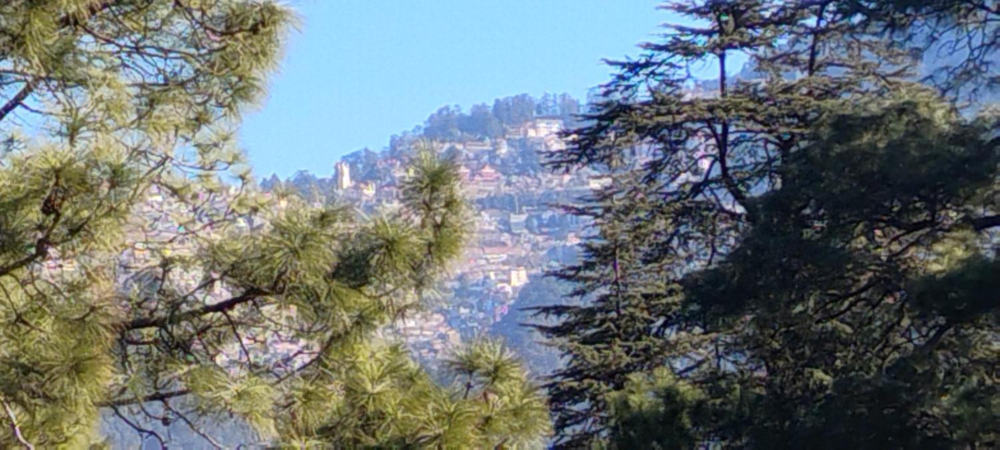 Homestay Thakur Homes