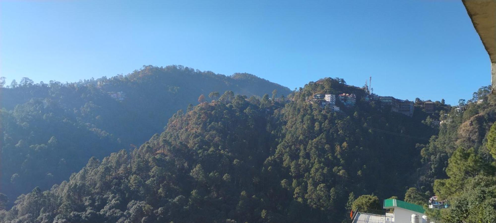 Homestay Thakur Homes Shimla