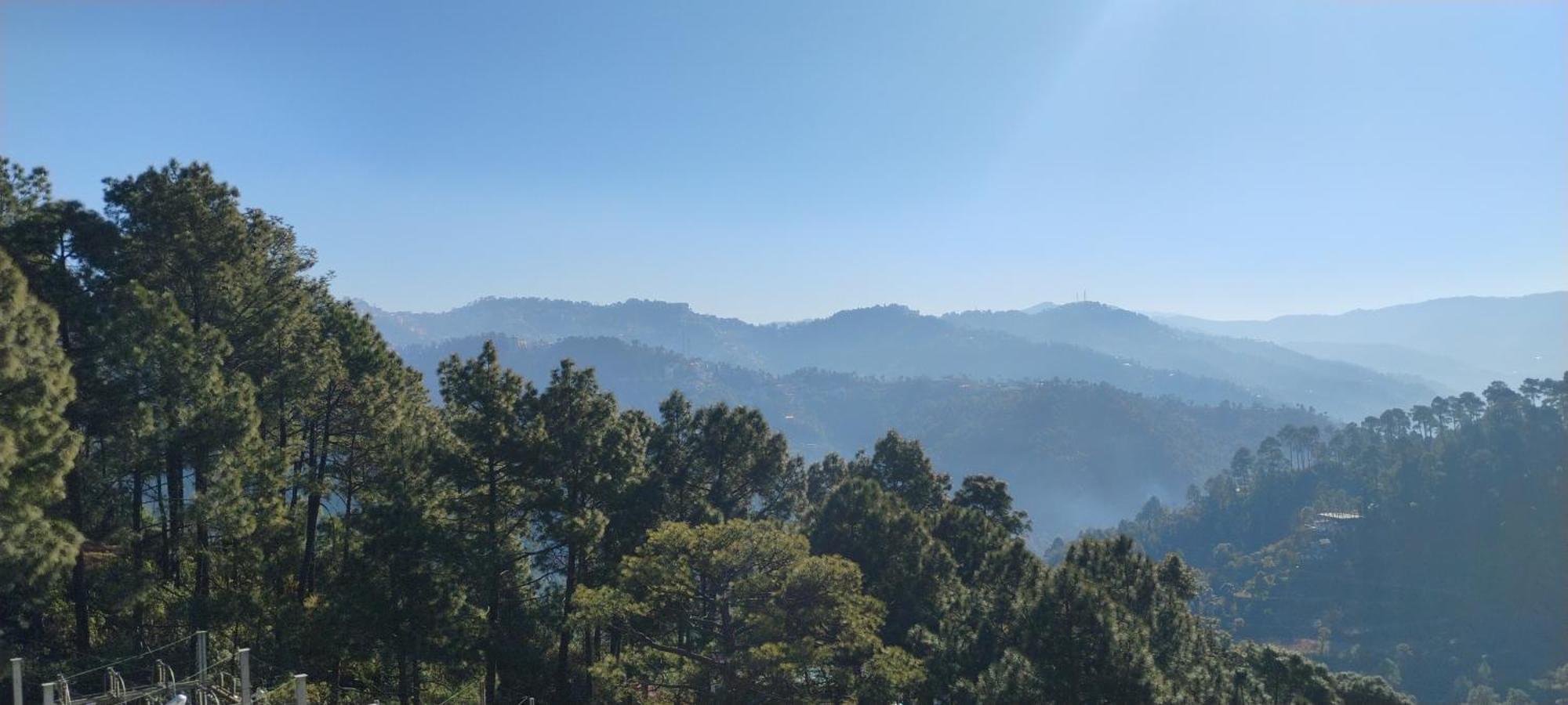 Thakur Homes