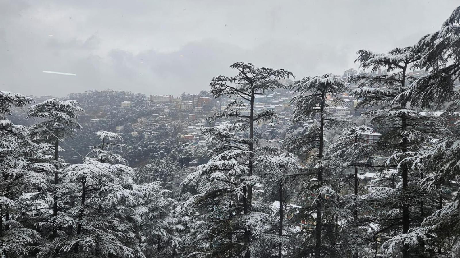 The Vista - Royale Near Mall Road Free Pickup From Railway Station 4* Shimla