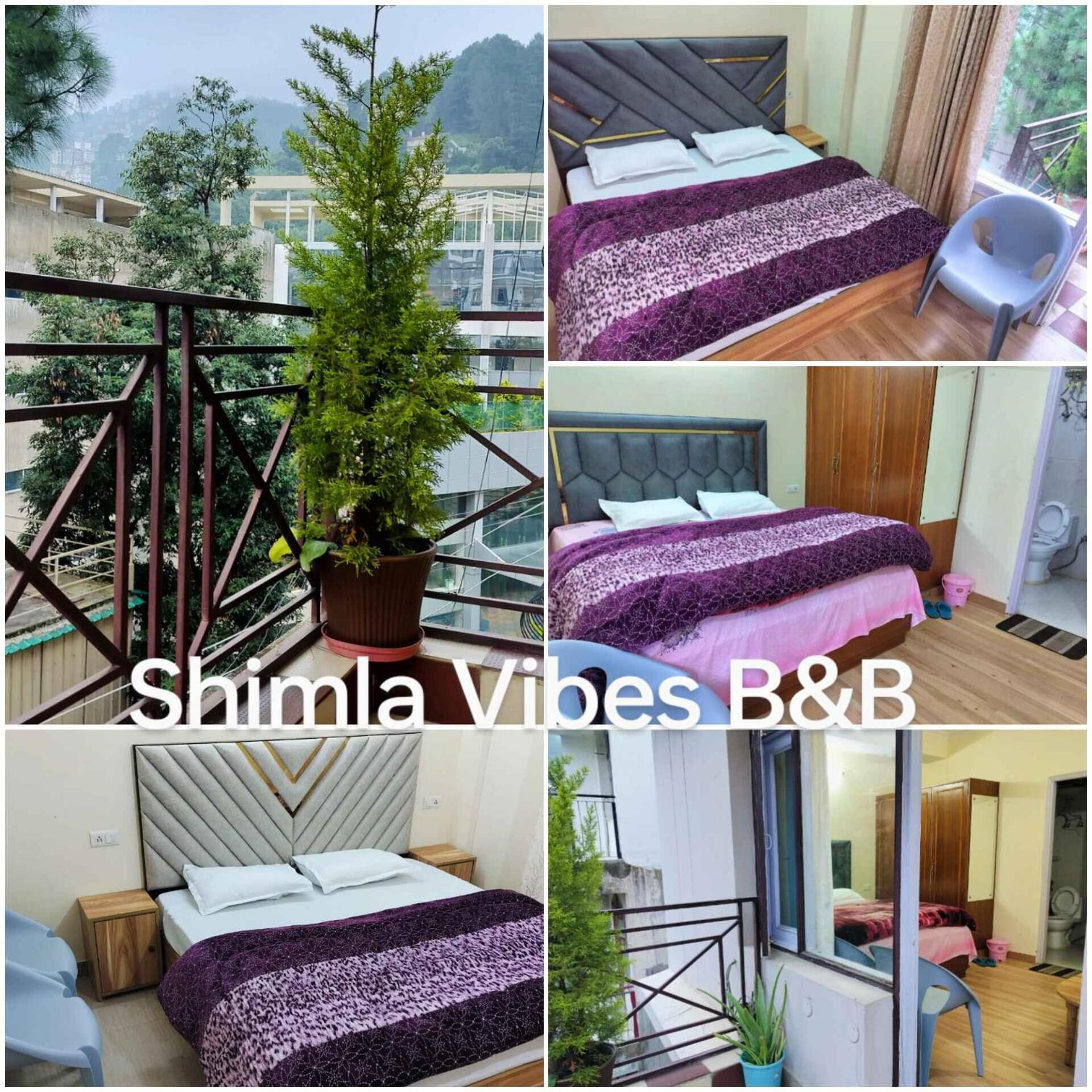 Vibes Free Pick And Drop From Isbt *