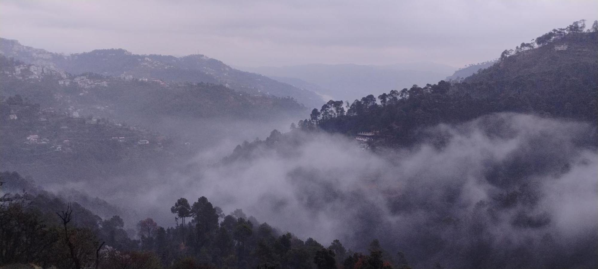 Thakur Homes Homestay Shimla