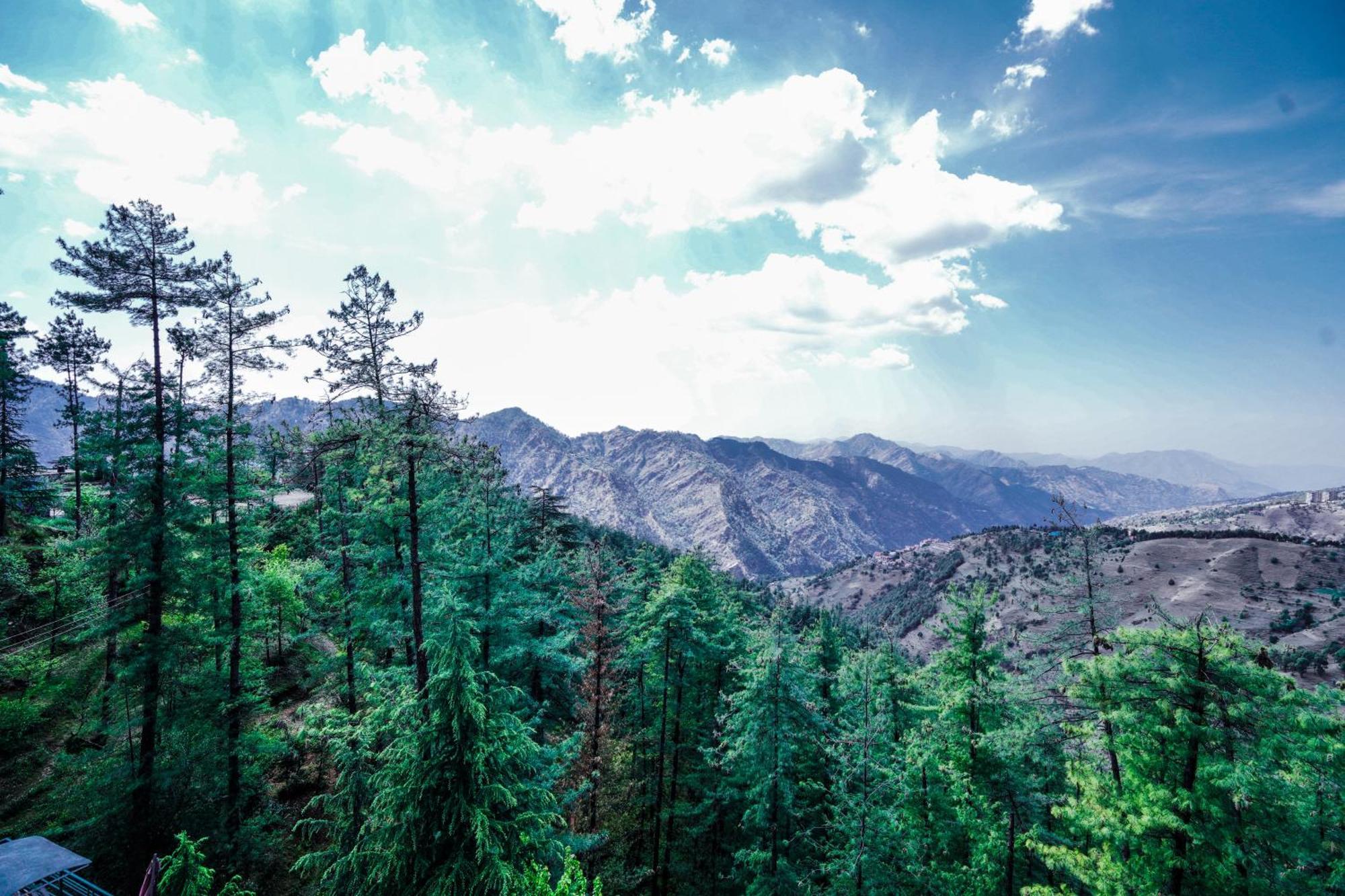 The Jungle View From Balcony In Mashobra - A Relax Retreat Away From Hotel Shimla
