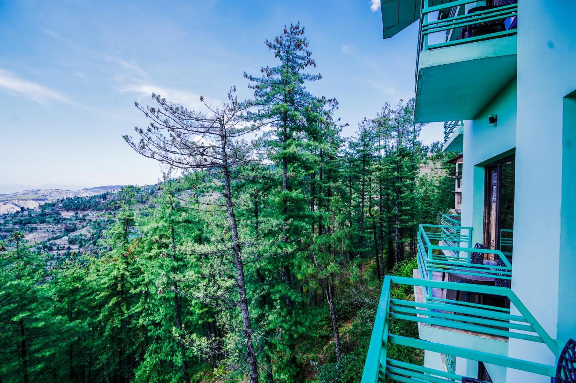The Jungle View From Balcony In Mashobra - A Relax Retreat Away From 3*