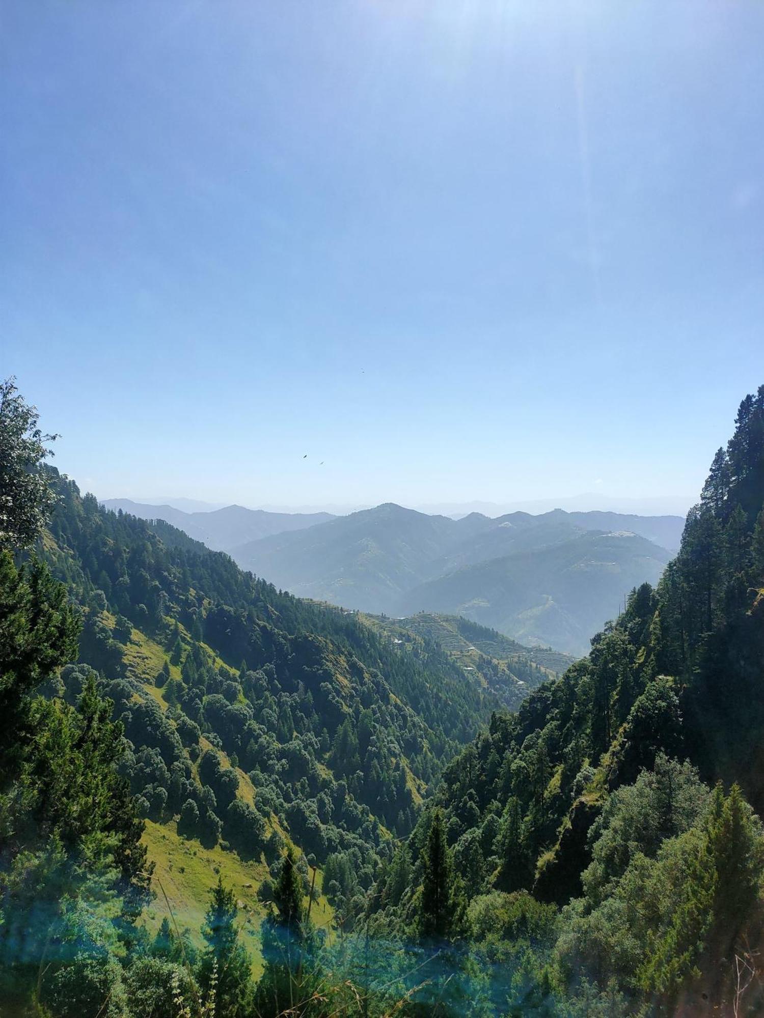 The Shalli Tribe Luxury tent Shimla