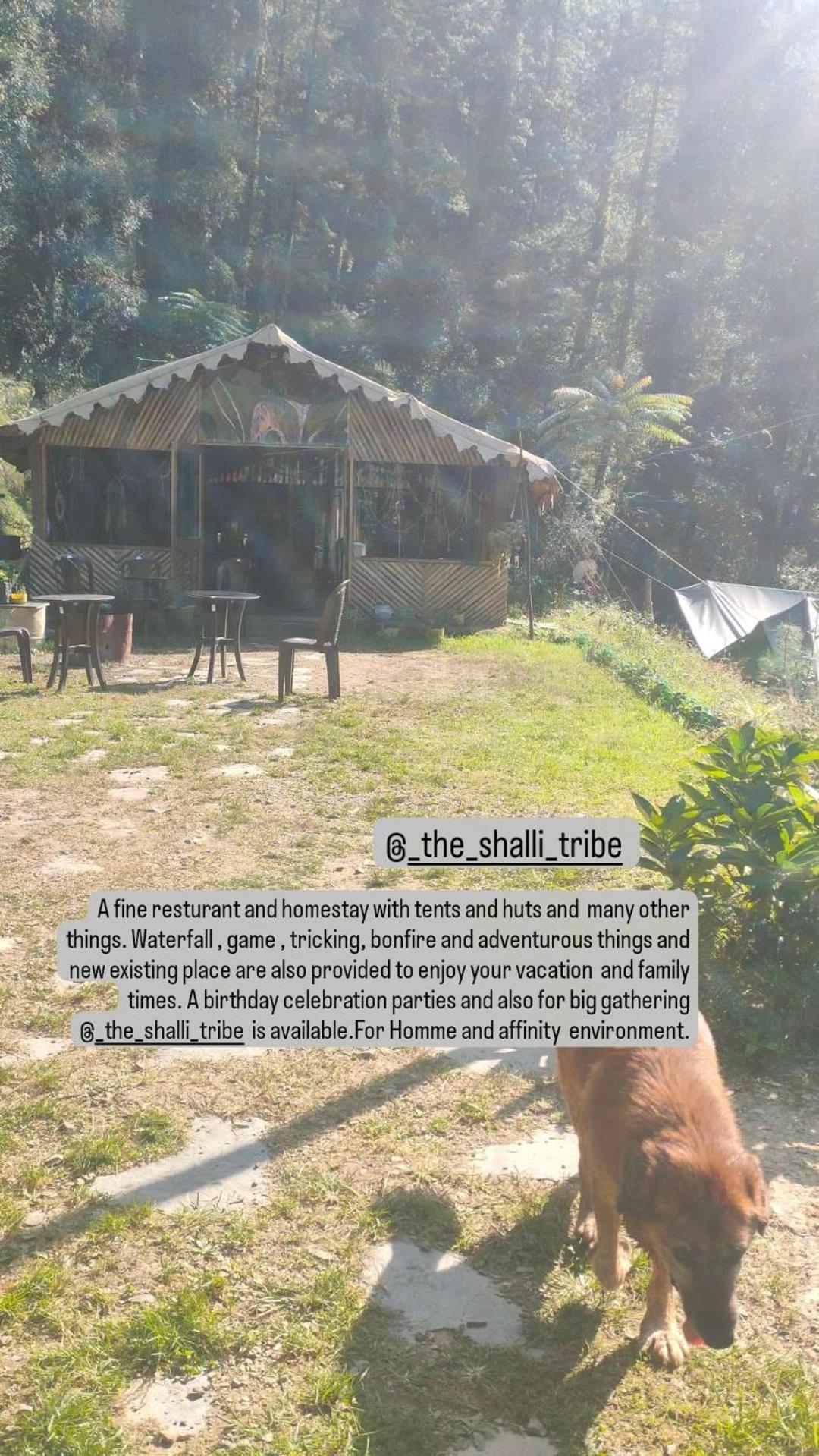 Luxury tent The Shalli Tribe *