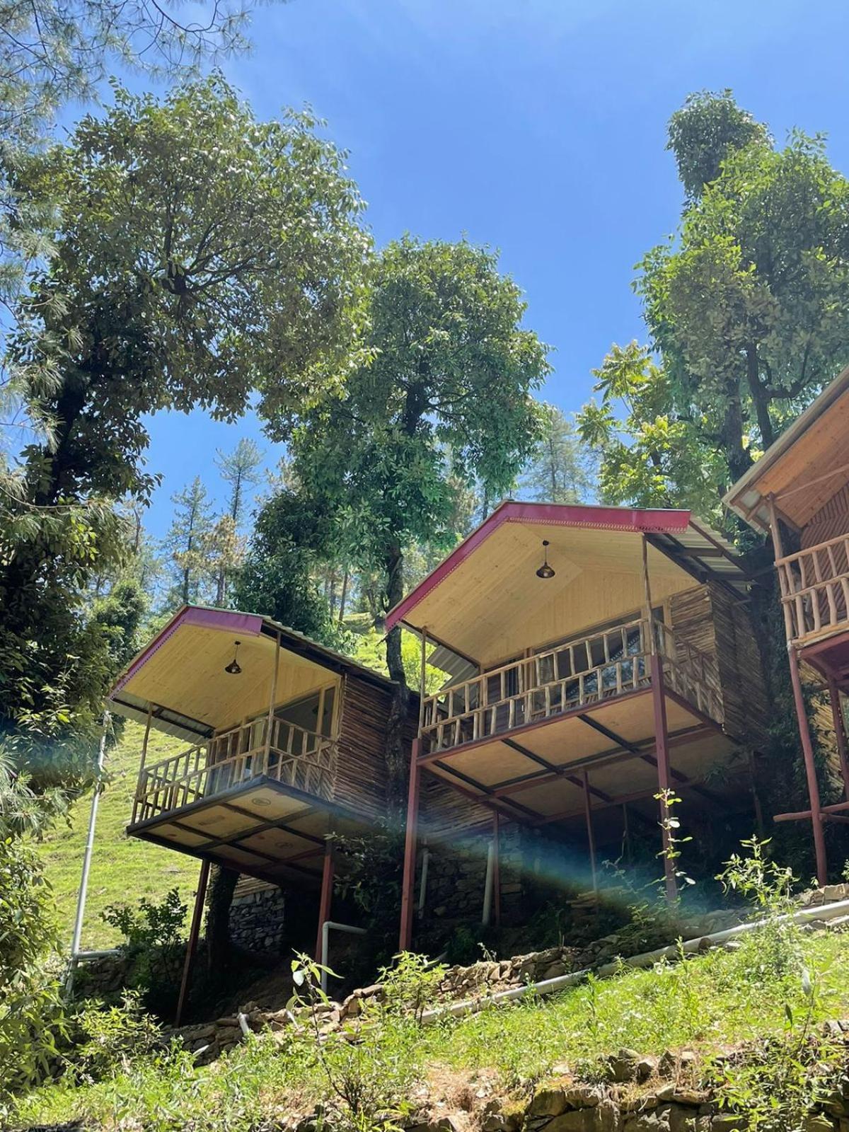 The Shalli Tribe Luxury tent Shimla