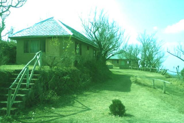 Resort Oyo 43476 Vatika 3*