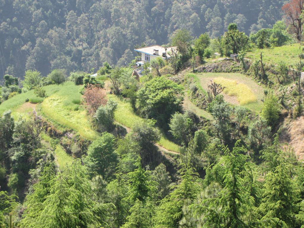 Shimla Nature Ville 3* Shimla