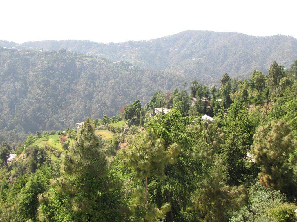 Shimla Nature Ville