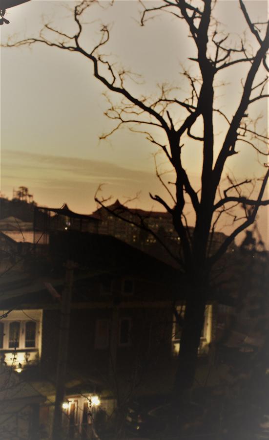 Prakash Bed & Breakfast