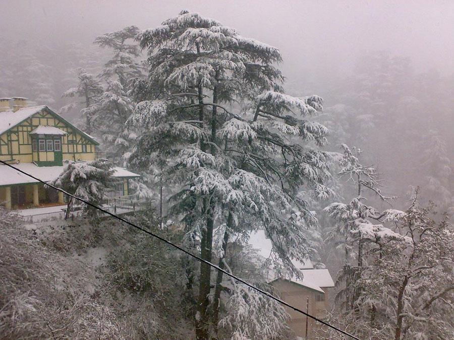 Sansar Shimla