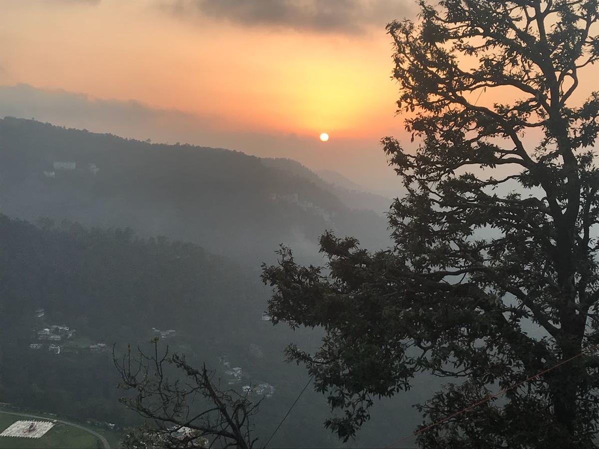 Apple House Bed & Breakfast Shimla